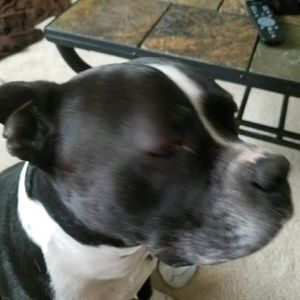 Meet your Posher, Steve